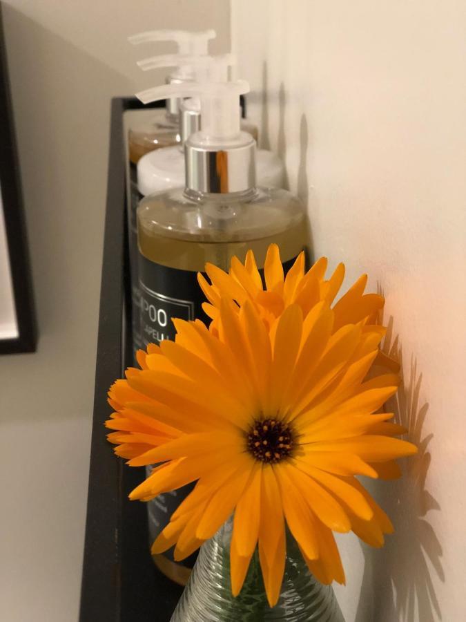 Aillon-le-Vieux Chapamama B&B 외부 사진